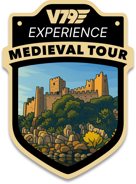 V79 Medieval Tour badge